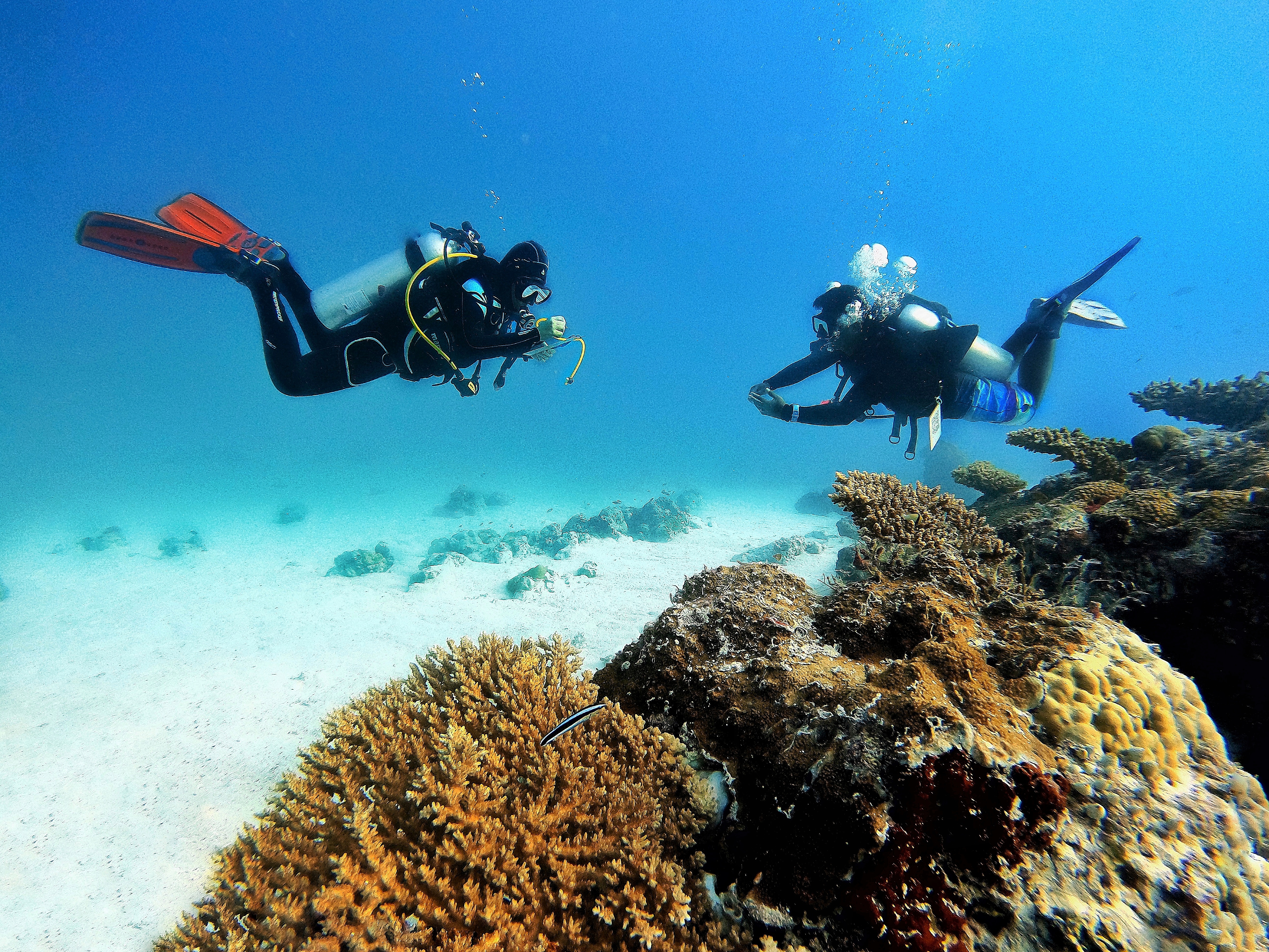 in immersione d'assetto con Grazia Palmisano